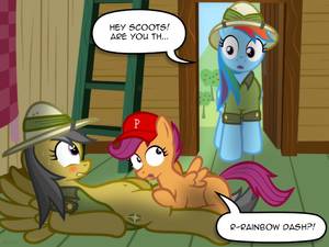 Mlp Scootaloo Porn - e621 4:3 age_difference armor blue_feathers blue_fur brown_feathers  brown_fur clubhouse cub cunnilingus daring_do_(mlp