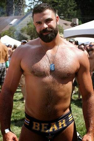 muscle bear - MEN PORN STAR: Hairy bear collect