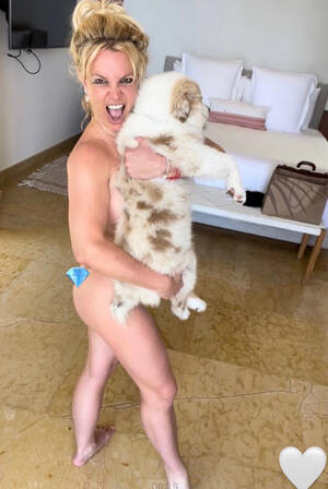 britney spears pregnant naked - Pregnant Britney Spears poses nude with her dog Sawyer