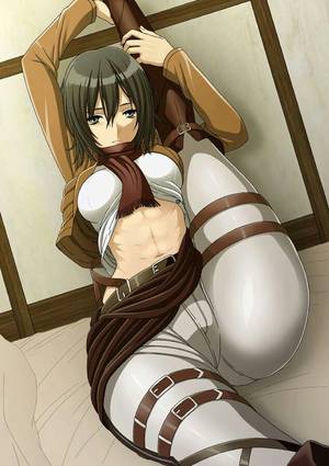 Aot Eren X Mikasa Porn - Browse more than 13 Attack on Titan (Shingeki noi Kyojin) pictures which  was collected by Matsuri, and make your own Anime album.