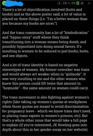 Hypno Bimbofication Porn - The infamous TERF theory that the trans movement originated in \