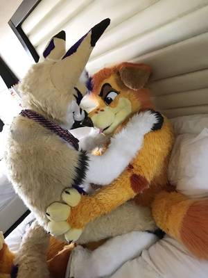 Gay Fursuit Porn - (2) Twitter Â· FursuitPridePornSuitsOutfitsBusiness ...