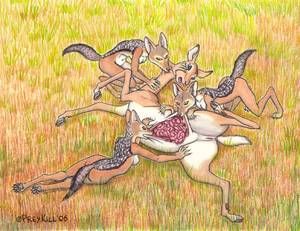 Anthro Deer Porn - e621 all_fours antelope anthro anus bite blood breasts canine cervine death  deer digitigrade disembowelment eating female