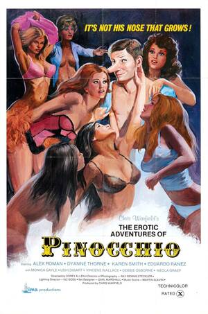 Movie Porn Posters - Best Porn Posters: Art From Erotica's Golden Era in the 60's & 70's