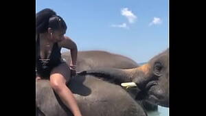 elephant fisting - Elephant Pussy !!!! - XVIDEOS.COM