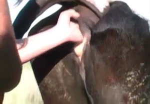 Man Fucking Cow Pussy - Naked bitch sticking her hand inside the cow's pussy - Zoo Porn