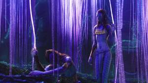 Cgi Neytiri Avatar Porn - 873 best Avatar images on Pinterest | Avatar movie, James cameron and Movies