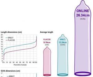 average size dick - ... below \