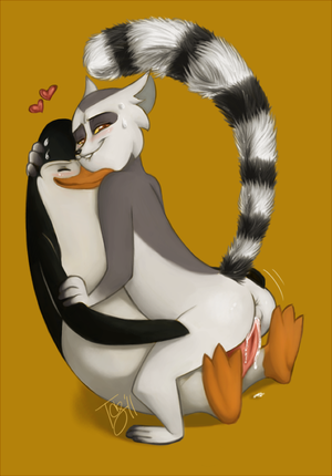 King Julian Madagascar Porn - Rule34 - If it exists, there is porn of it / tsuyagami, king julien,  kowalski / 3127431