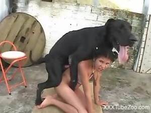 long black sex anemals - Appealing Latin zoophile fucking a black dog here, free porn zoo mp4 Â»  Download zoo porno videos mp4 and free online