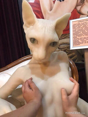 Animal Sex Doll Porn - Freaky Cat Sex Doll - Porned Up!