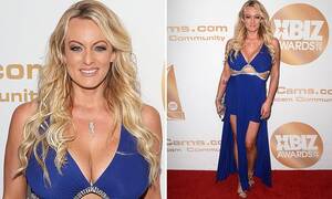 Liz Estes Porn - Stormy Daniels praises porn stars at awards show as she vows new protest  for sex workers rights | Daily Mail Online