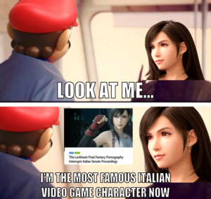 Italian Porn 3d Caption - Tifa vs Mario | Italian Senate Tifa Hentai / Porn Livestream | Know Your  Meme