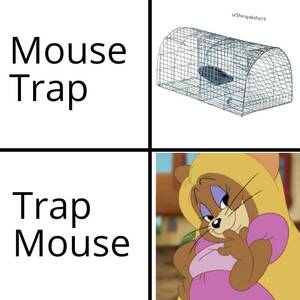 Ariana Grande Rule 34 - Still better than tom and jerry rule34 : r/dankmemes