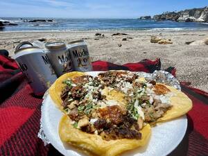 a french beach nudist amateur - Tacos picnic (chili verde, asada, carnitas & barbacoa) [Take out] :  r/FoodPorn