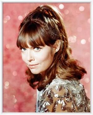 Barbara Feldon Nude - 'Barbara Feldon - Get Smart' Photo | Art.com