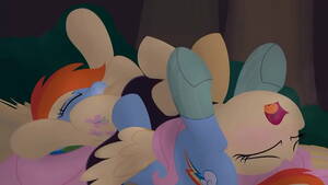 Furry Porn Rainbow Dash And Fluttershy - Rainbow x Fluttershy - XNXX.COM