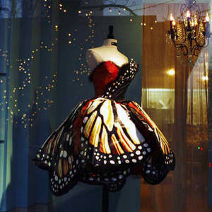 Butterfly Fantasy Porn - Butterfly Fantasy Dress