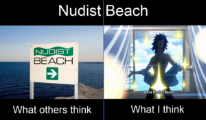 ethnic nudist on the beach - Nudist Beach : r/KillLaKill