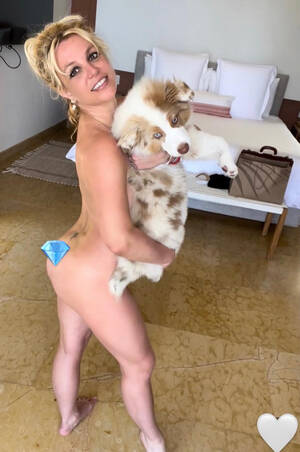 britney spears pregnant naked - Pregnant Britney Spears poses nude with her dog Sawyer