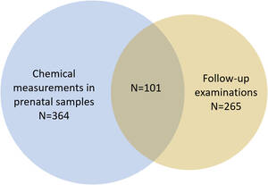 Masculinization Porn - Frontiers | Prenatal exposure to phenols and benzophenones in relation to  markers of male reproductive function in adulthood