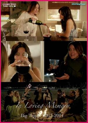 Jules Cougar Town - Cougartown