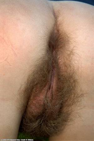 Big Butt Hairy Pussy - Big hairy butts and bushy pussies