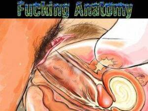 Hot Anal Porn Anatomy - Pussy anatomy - Porn very hot pictures website.