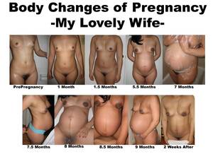 naked pregnant belly progression - Naked Pregnant Progression | Sex Pictures Pass