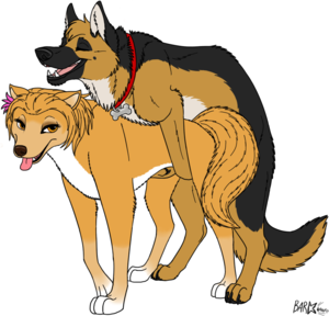 Alpha And Omega Furry Porn Aex - Rule 34 - 1boy 1girls alpha and omega barkwoof canine doggy style female  from behind german shepherd kate (alpha and omega) male plain background sex  white background wolf | 898570