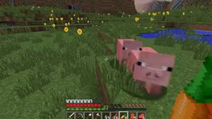 Minecraft Pig Porn - Minecraft Survival #1 PIG PORN?!