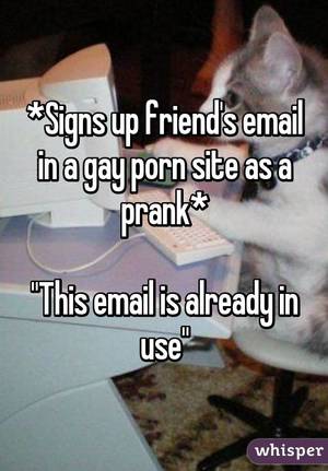 Bisexual Humor Meme - *Signs up friend's email in a gay porn site as a prank* \