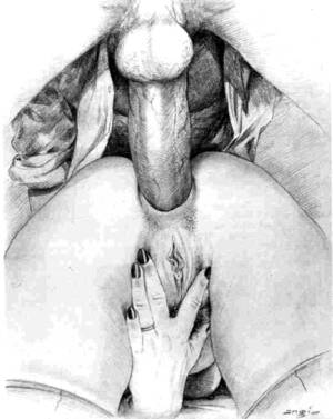 anal intercourse sketch - Desenho anal - comisc.theothertentacle.com