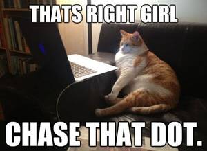 fat porn memes - fat obese old ginger cat porn laptop computer red dot lolcat