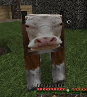 Minecraft Sexy Craft Texture Pack - That cat one is spot on in minecraft ...