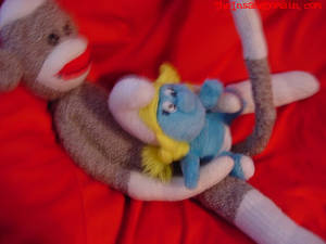 Monkey Toy Porn - 