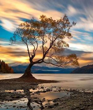 New Zealand Nature Porn - Earth Porn | Wanaka, New Zealand pic.twitter.com/ypmRCjd8ER