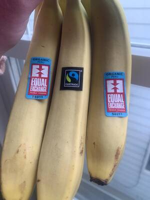 Banana Fruit Porn - The only bananas I'll buy. Fair trade fruit porn. : r/FruitPorn