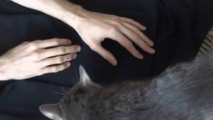 Finger Fetish Porn - Hand fetish/long fingers, Handfetish, Nicehands, Pretty hands and cat's paw