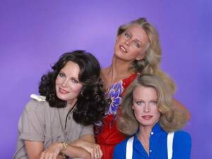 Charlies Angels Porn Actress - Charlie's Angels' (Season 4): We wanted Shelley Hackâ€¦but got Tiffany Welles  instead | Drunk TV