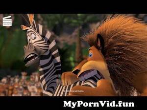 Madagascar Cartoon Porn - Madagascar (7 10) | Alex bites Marty | Cartoon For Kids from butt scenes  madagascar Watch Video - MyPornVid.fun