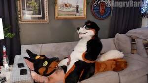 Gay Fursuit Porn - Free Fursuit Porn Videos from Thumbzilla