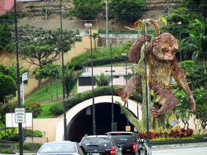 Guayaquil Porn - Famous monkey close to Santa Ana hill in #Guayaquil. www.placeok.com