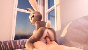 Judy Hopps Sexy Naked Porn - Judy Hopps Nude Porn Videos | Pornhub.com