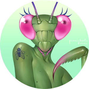 Mantis Girl Porn - ð–• ð–† ð–“ ð–“ ð–† ð–Œ ð– ð–” ð–˜ ð–™ ð–†+ â€” Starting off with a mantis gal. She'll  give you a...