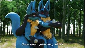 Lucario Human Porn - 3D Yiff by Kuroodod Furry Porn Sex E621 FYE Gay Femboy Lucario Brothers  Incest Pokemon r34 Rule34 Anal