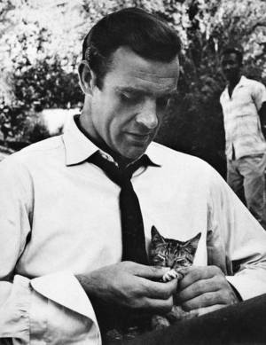 Cat People Porn - Sean Connery (This Is Not Porn - Rare and beautiful celebrity photos).  JamaicaKittensCat PeopleToxic ...