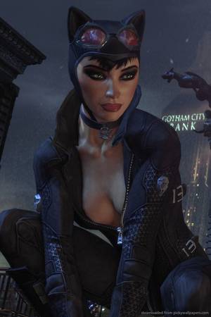 Catwoman From Arkham City Porn - Arkham City Catwoman Catwoman is by far my most favorite.