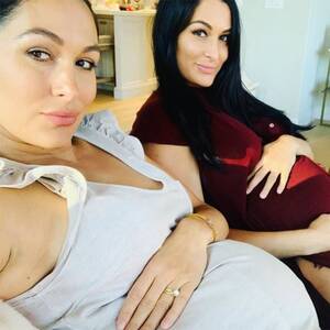 Brie Bella Nude Porn - Brie & Nikki Bella Go Completely Nude for Joint Maternity Shoot