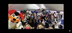 Furry Porn Flight Attendant - The Plane of Fur: Equipped with an UWU canon, An OWO missile launcher, And  a screen that displays furry memes from above. : r/Bossfight